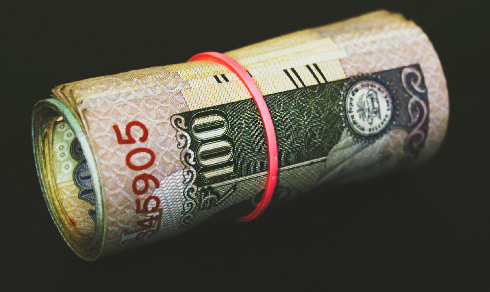 How much can you earn, and is it worth it, from 12 plants?