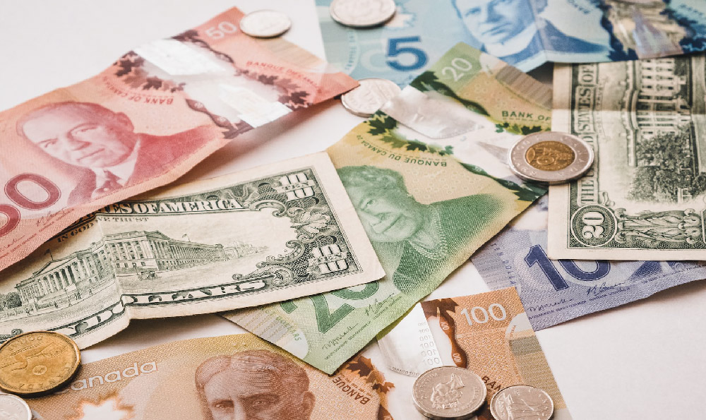 How to Get Rich Quick? Is Making Money Online Easy These Days?
