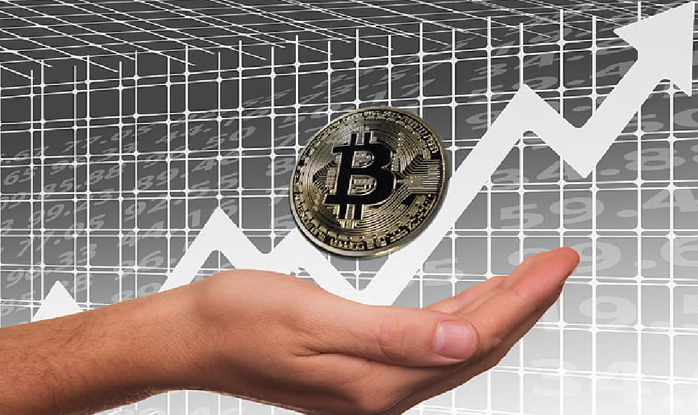 

Chiropractors Earnings and High Income Potential